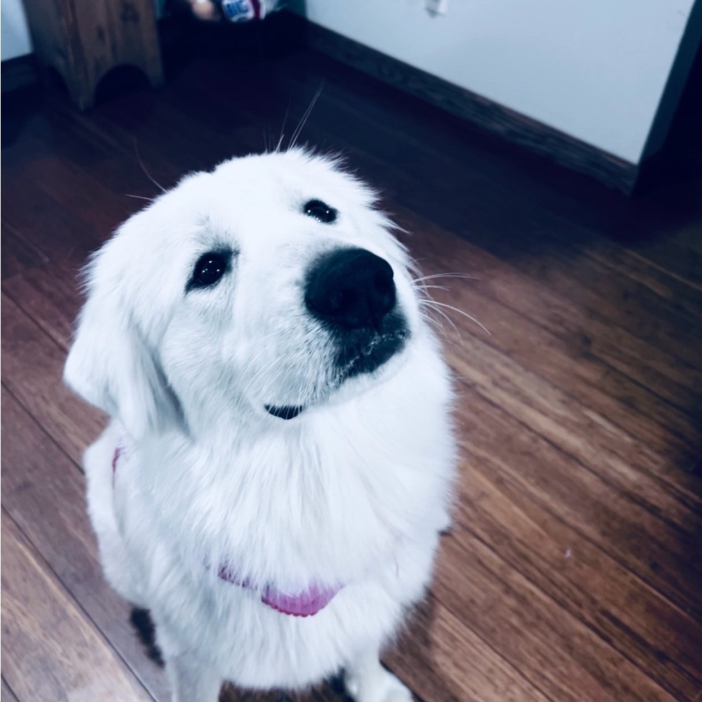 Meet Me 🖤 - Picture 5 of 7